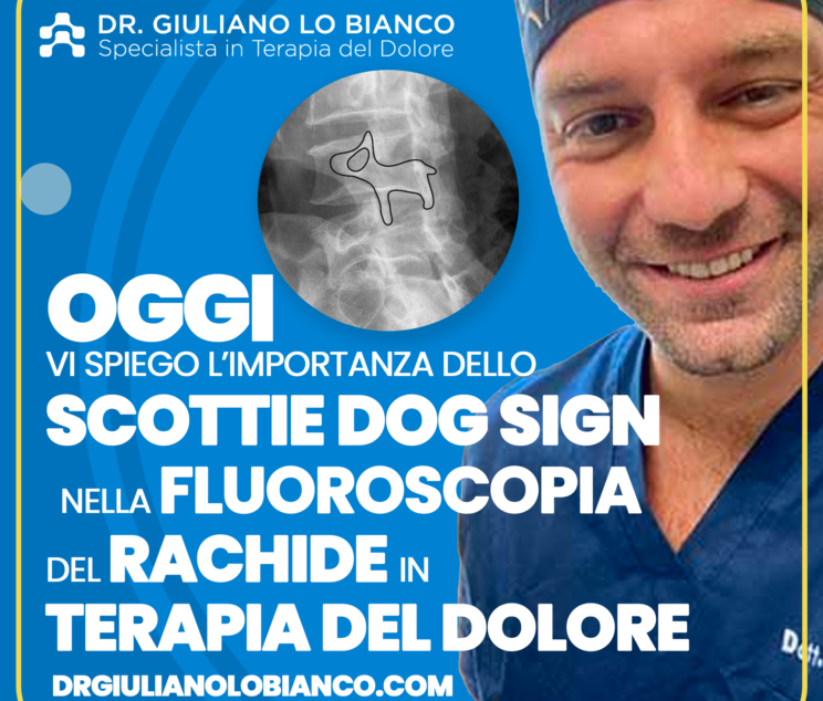 da3b3c655ca7dc64-SCOTTIEDOG2